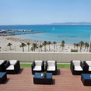 https://whalabeach.balearic-islands.net